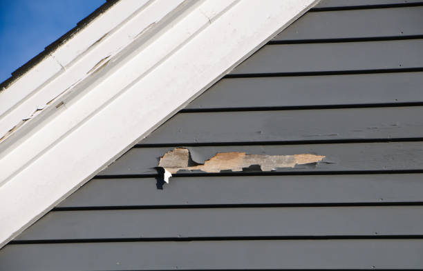 Best Insulated Siding Installation  in Painesville, OH